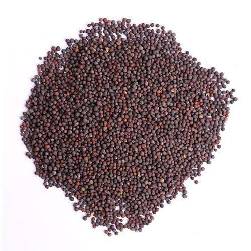 high yield mustard seed from gadarpur