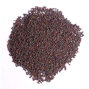 organic red millet- champawat